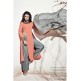 PEACH ECHO AND GREY INDIAN PARTY COCKTAIL DRESS PEACH ECHO AND GREY INDIAN PARTY COCKTAIL DRESS